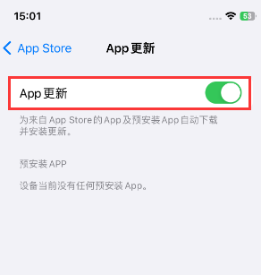 汪场镇苹果15维修中心如何让iPhone15APP自动更新